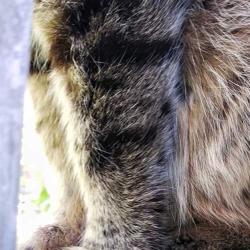 Photo #7619123