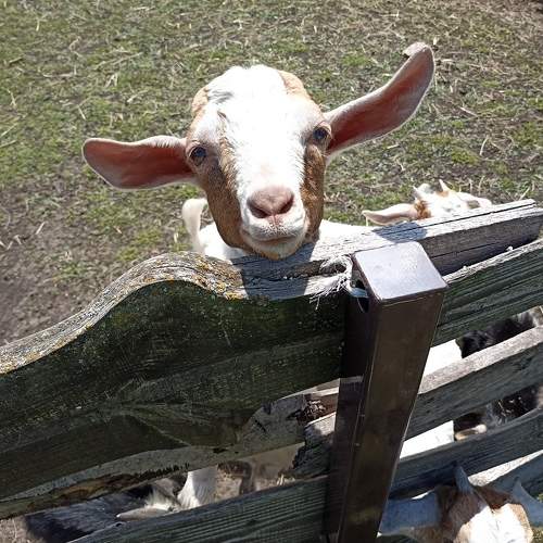 Photo #7619151