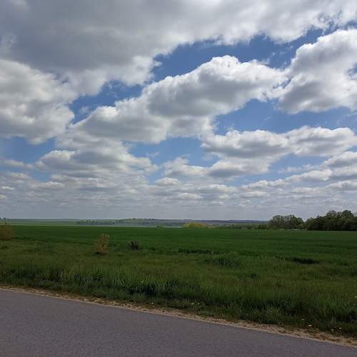 Photo #7619165