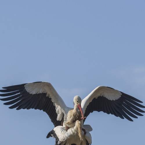 Photo #7619169