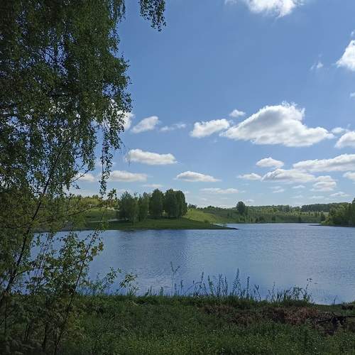 Photo #7619221