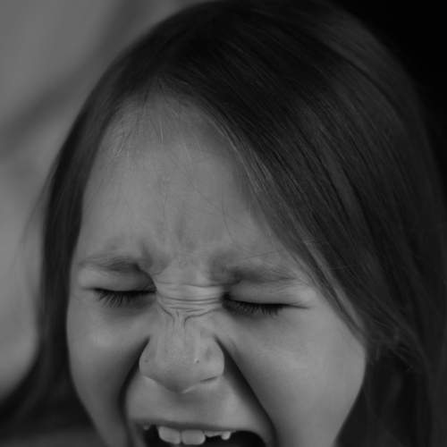 Photo #7619282