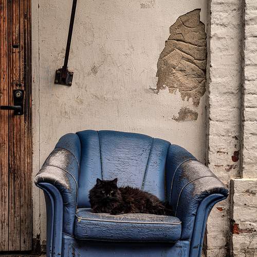 Photo #7619396