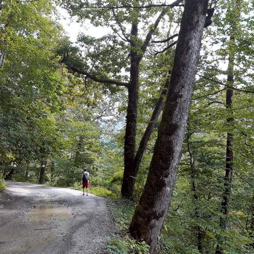 Photo #7619509