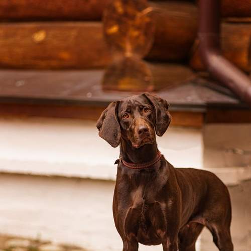 Photo #7619575