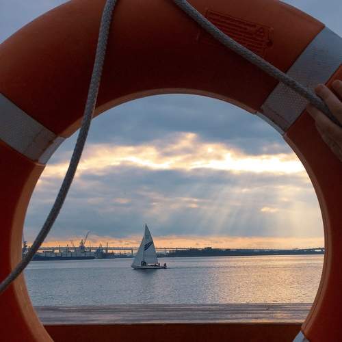 Photo #7619612