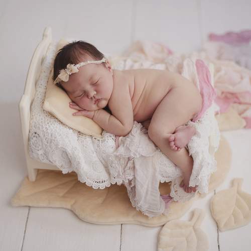 Photo #7619648