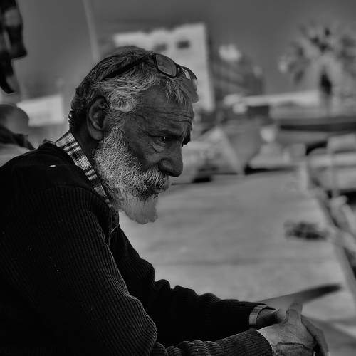 Photo #7619727