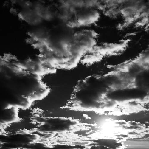 Photo #7619811
