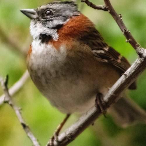 Photo #7619847