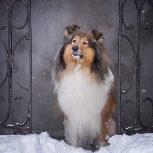 Фотография #7619917