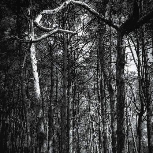 Photo #7620024