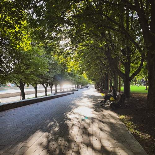 Photo #7620057