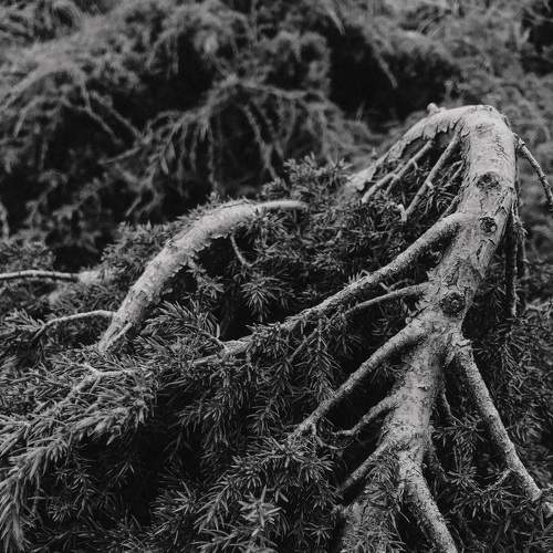 Фотография #7620315