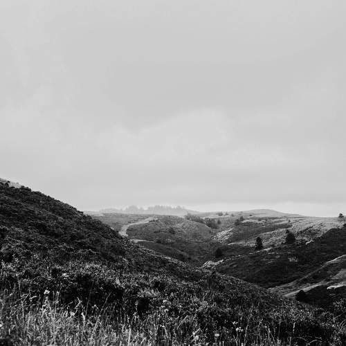 Фотография #7620336