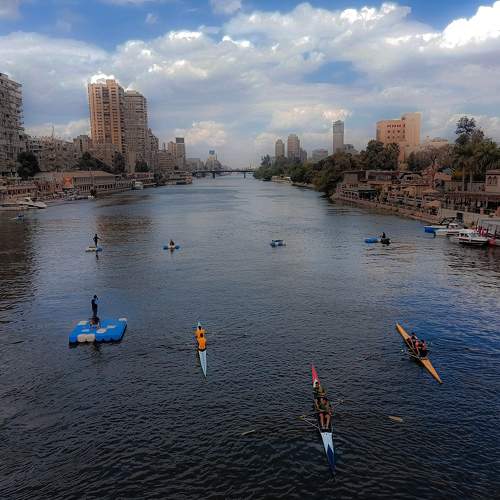 Rowing in Egypt