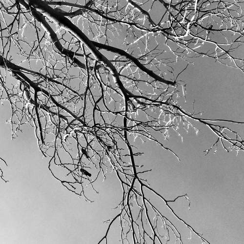 Photo #7620382