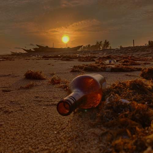 Photo #7620423