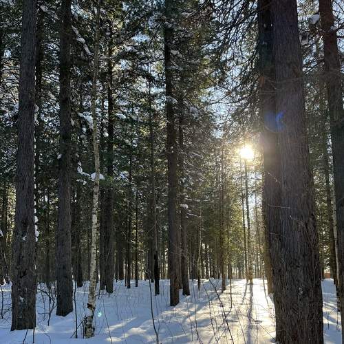 Photo #7620438
