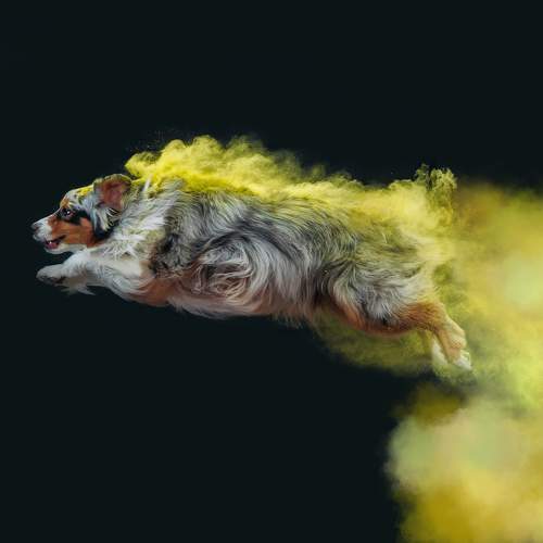 Photo #7620468