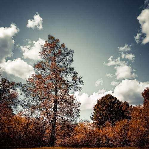 Photo #7620469