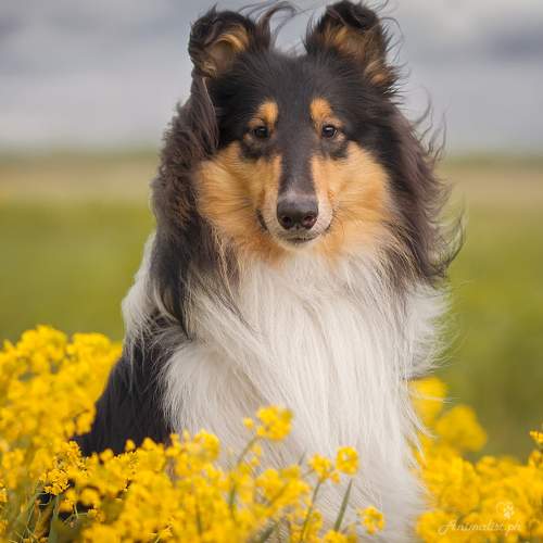 Фотография #7620538