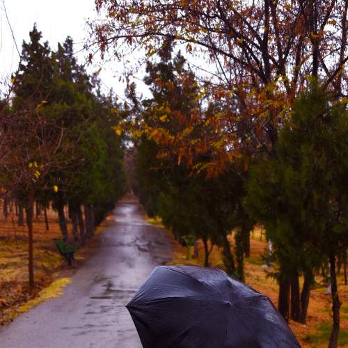Photo #7620765