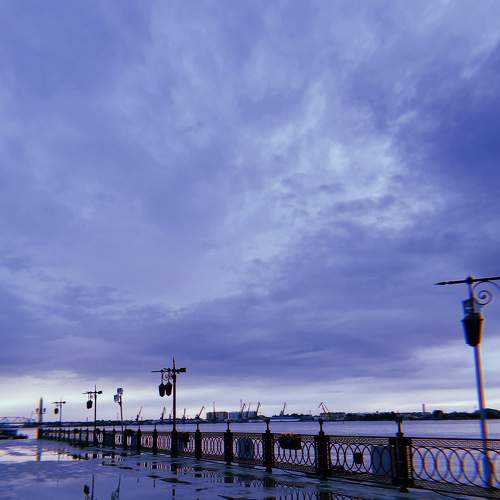 Photo #7620878