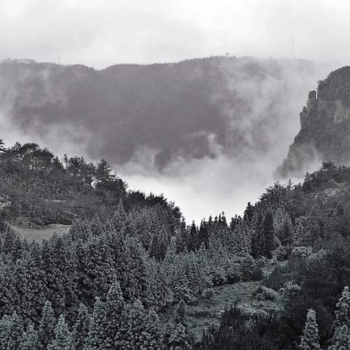 Photo #7621040