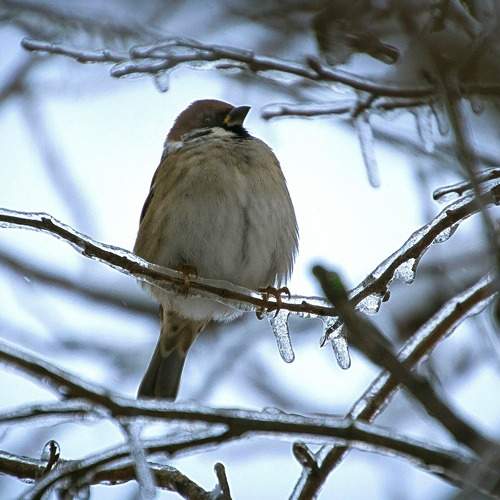 Photo #7621148