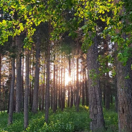 Photo #7621246