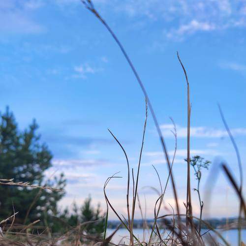 Photo #7621247