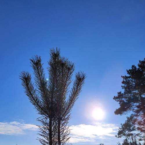 Photo #7621249