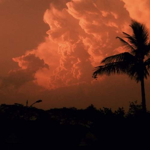 Photo #7621416