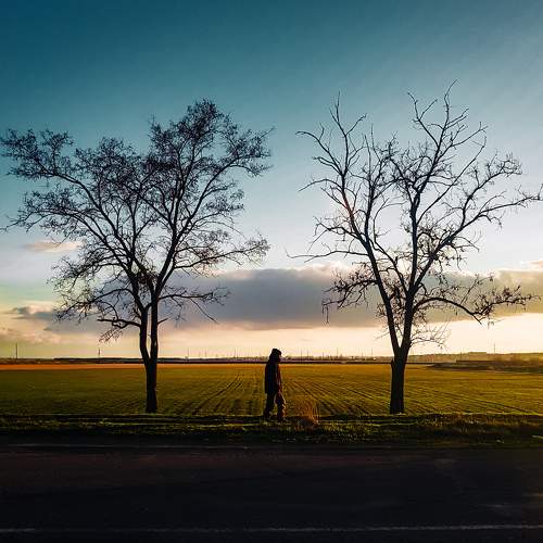 Photo #7621476