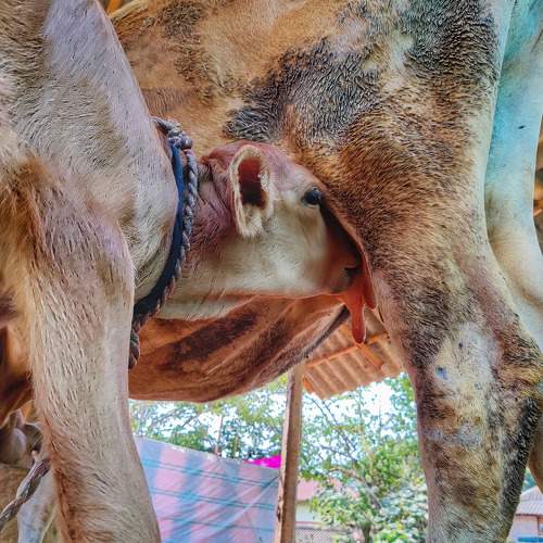 Photo #7621499