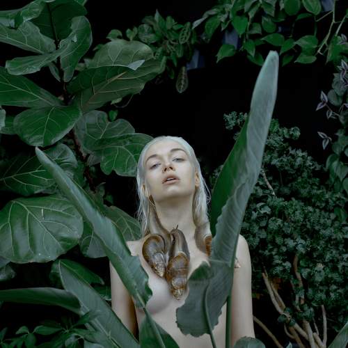 Photo #7621557