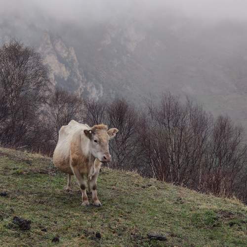 Photo #7621648