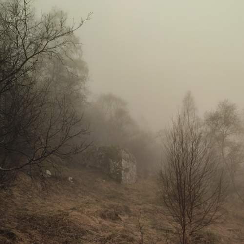 Photo #7621649