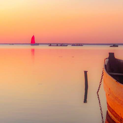 Photo #7621730