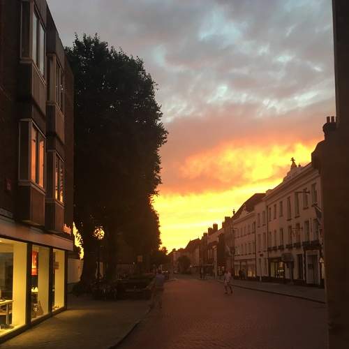Photo #7621889