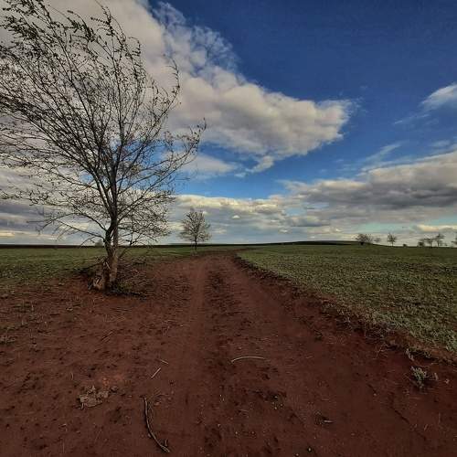 Photo #7622050