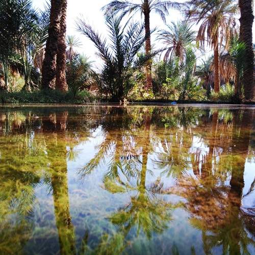 Photo #7622092