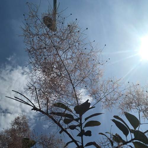 Photo #7622190