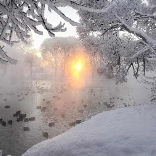 Photo #7622478