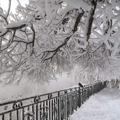 Photo #7622482