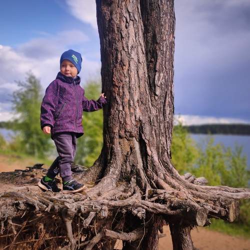 Photo #7622576