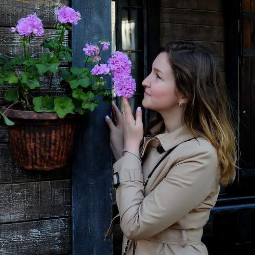 Photo #7622646