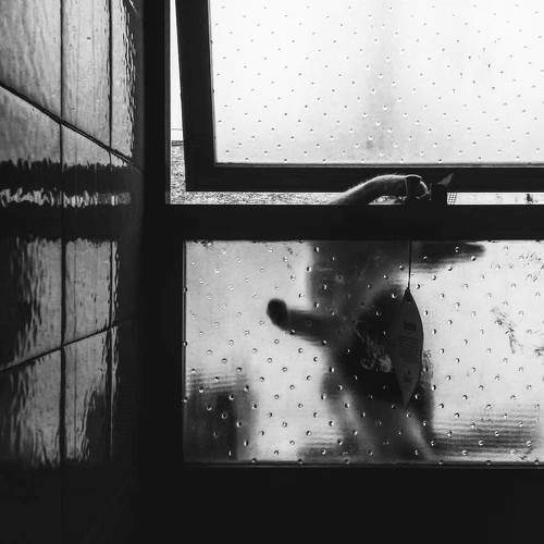 Photo #7622698