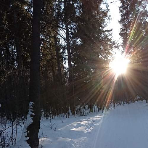 Photo #7622721